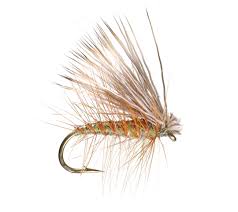 Umpqua Elk Hair Caddis - Tailwater Outfitters